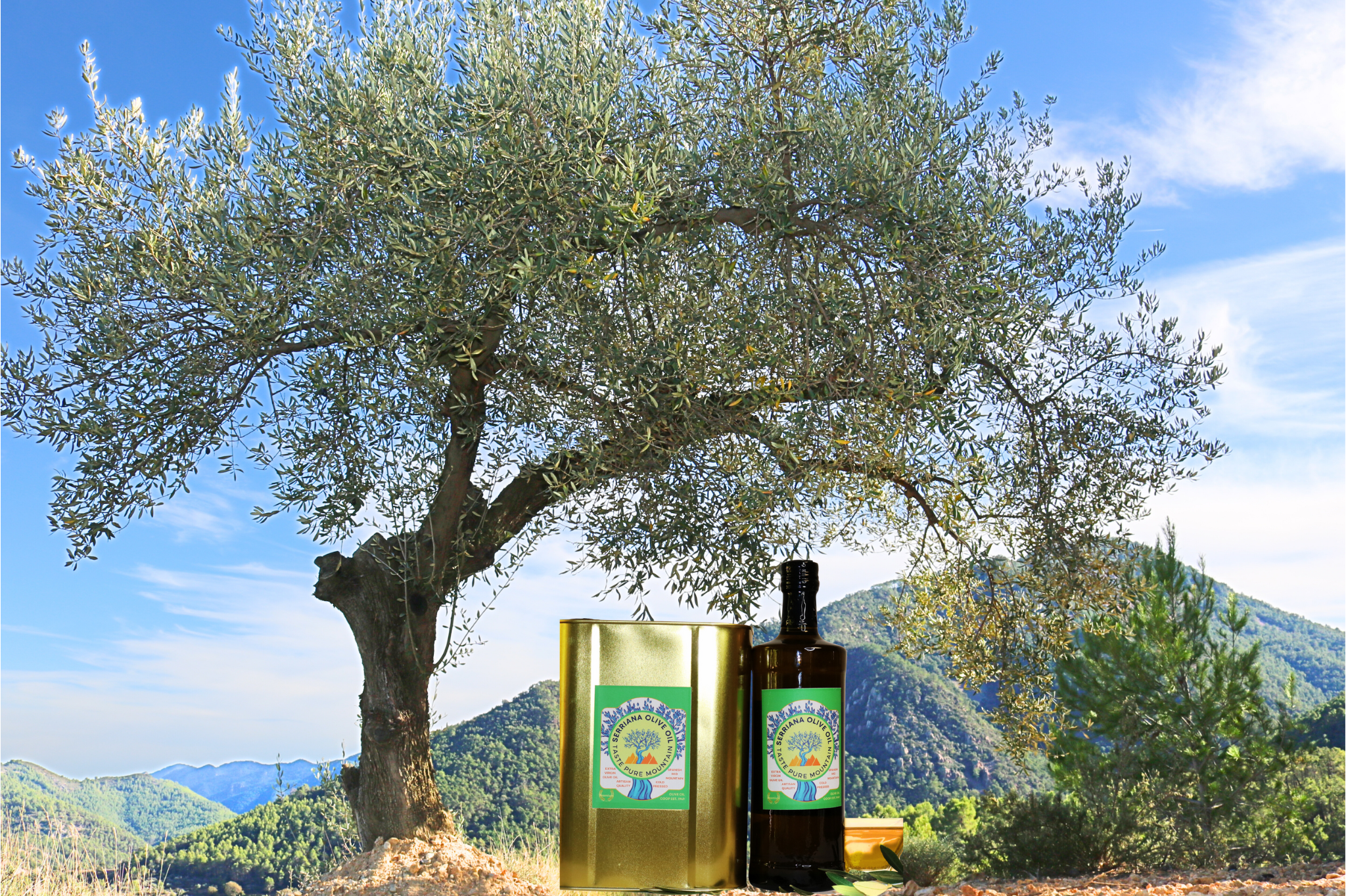 Serriana extra virgin olive oil in the Sierra Espadan Spanish mountains